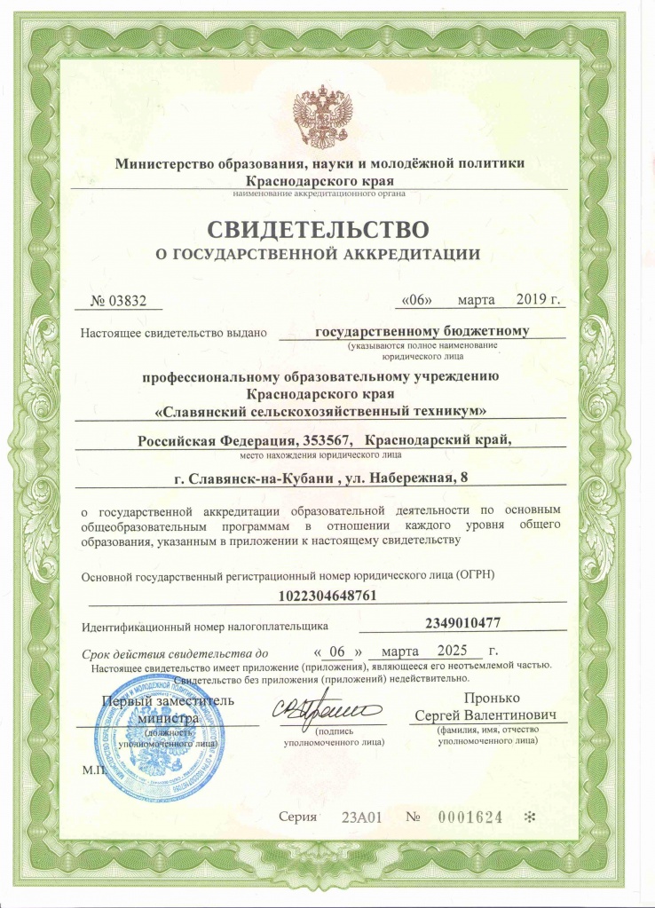 Свидетельство 2019_1.jpg Свидетельство 2019_1.jpg