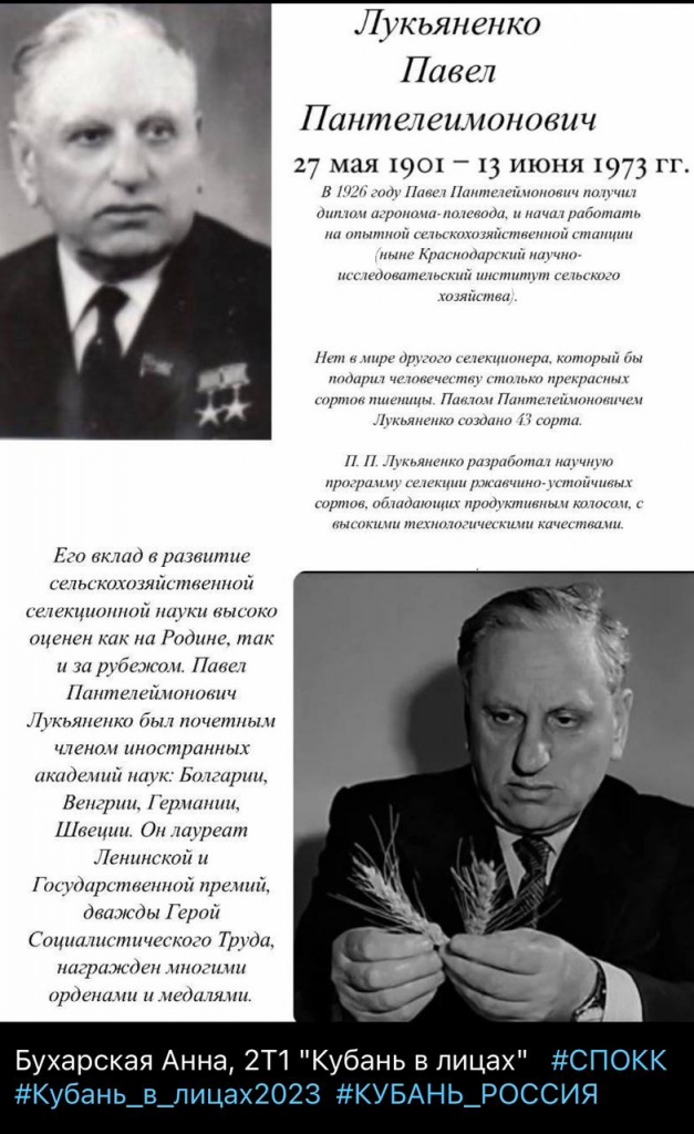 a7247be5-39ea-4307-a2a5-8a1aeed7fa54.jpg a7247be5-39ea-4307-a2a5-8a1aeed7fa54.jpg