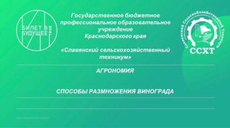 WhatsApp Image 2022-02-14 at 16.05.12 (2).jpeg WhatsApp Image 2022-02-14 at 16.05.12 (2).jpeg